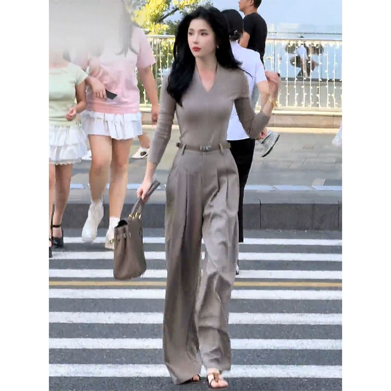 高级感时尚套装早秋穿搭一整套女简约v领长袖T恤上衣阔腿裤两件套