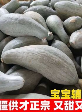 金丝板栗南瓜倭瓜新疆贵族南瓜