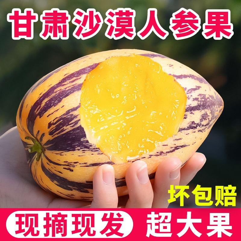 【甘肃民勤】人参果黄肉大果新鲜水果人生果孕妇整箱长圆果免包邮