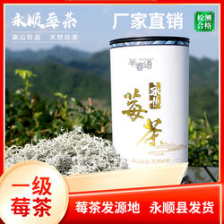 莓茶张家界特级野生藤茶永顺霉茶龙须芽尖莓茶旗舰店土家族养生茶