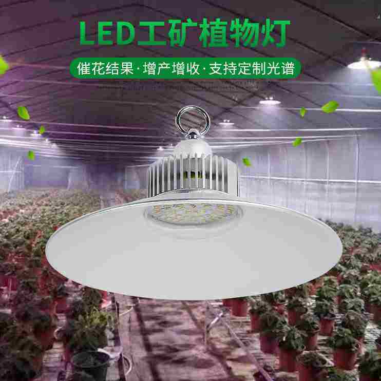 Uvb全光谱金卤灯70w落地台灯多肉植物琥珀仿太阳紫外线补光灯 义购惠