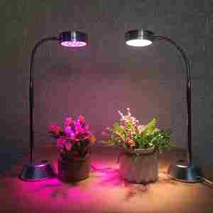 植物花卉台灯价格 植物花卉台灯图片 星期三