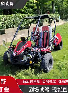 钱江成人电动卡丁车四轮摩托车漂移车双人赛道漂移竞技卡丁车UTV