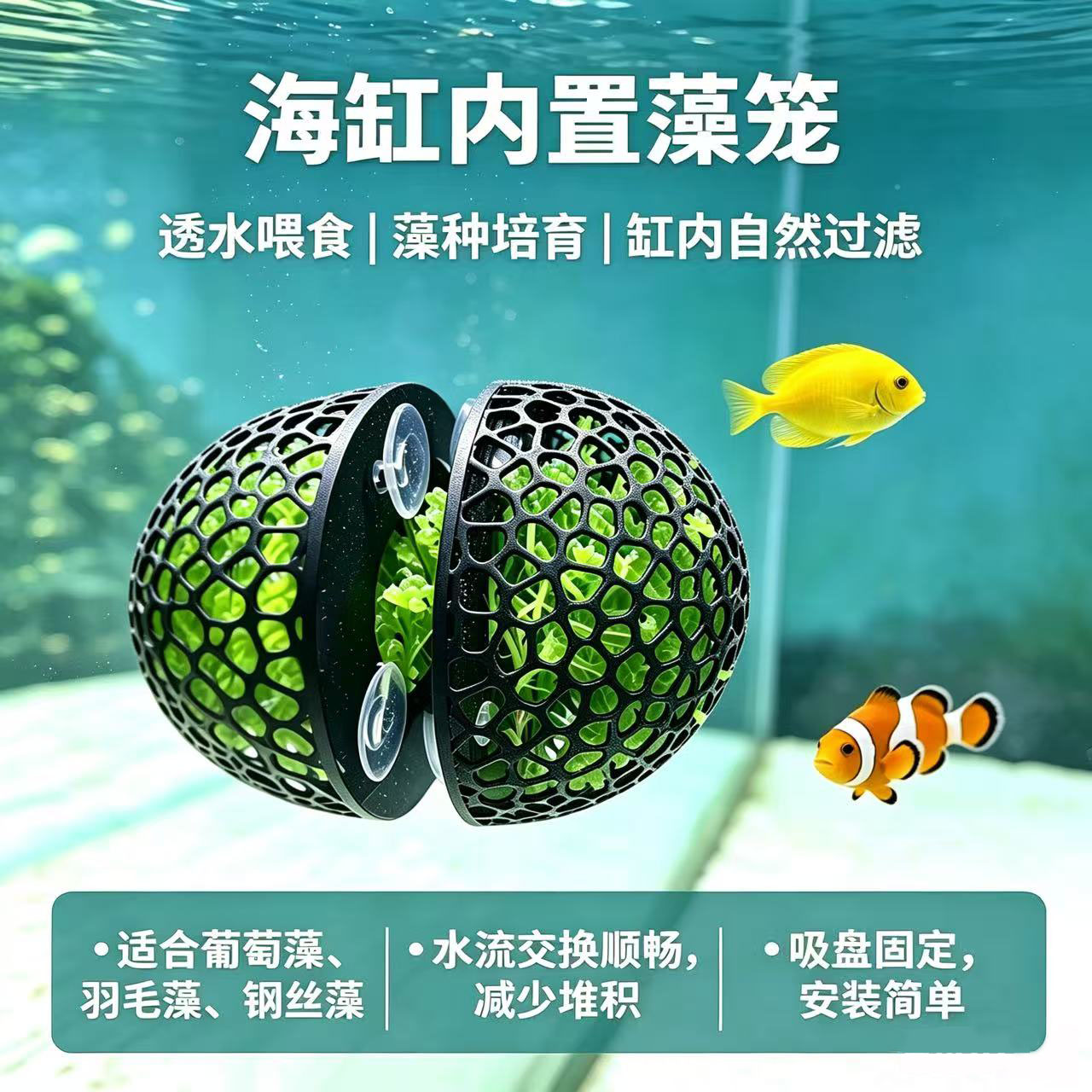海缸内置海藻笼隔离盒图片