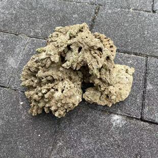 天然珊瑚石死石造景海水鱼缸三湖慈鲷免爆藻造景材料快速开海缸