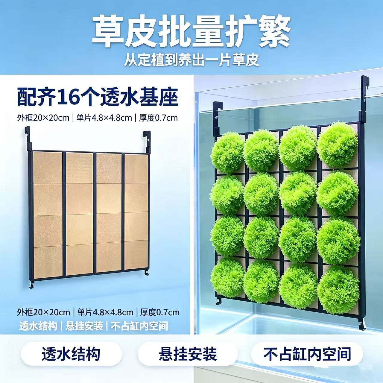 草皮珊瑚繁殖上墙挂架图片