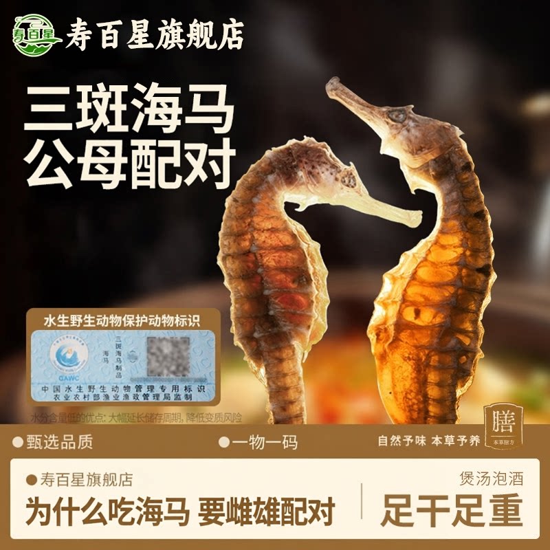三斑海马中药材干货一公一母配对男士滋补养生煲汤海龙泡酒足重CN