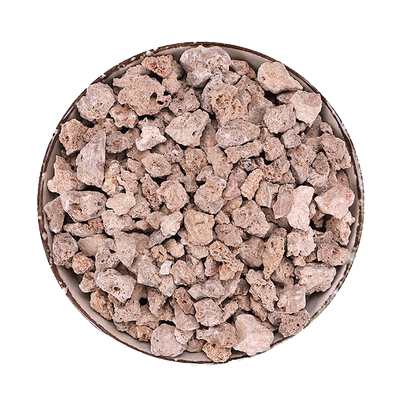 炉甘石中药材寿百星饮片