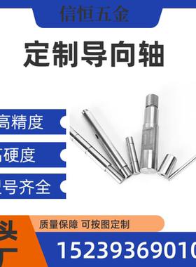 LOF01 06 LOG01 06 31 33 LOH01 31 61-D2D3D4D5D6导向轴支持定制