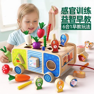 boby蒙氏早教益智拔萝卜钓鱼玩具婴幼儿童1一2岁宝宝月拧螺丝捉虫