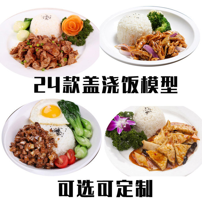 现货中餐仿真食物食品盖浇饭模型 假菜米饭快餐道具 饭店展示样菜