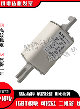 170M3138 170M3139 170M3140 170M3141 170M3142熔断器170M3143