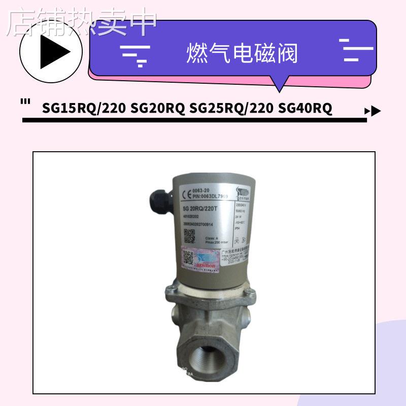 SG15RQ/220 SG20RQ SG25RQ/220 SG40RQ/220 SG50RQ/220燃气电磁阀
