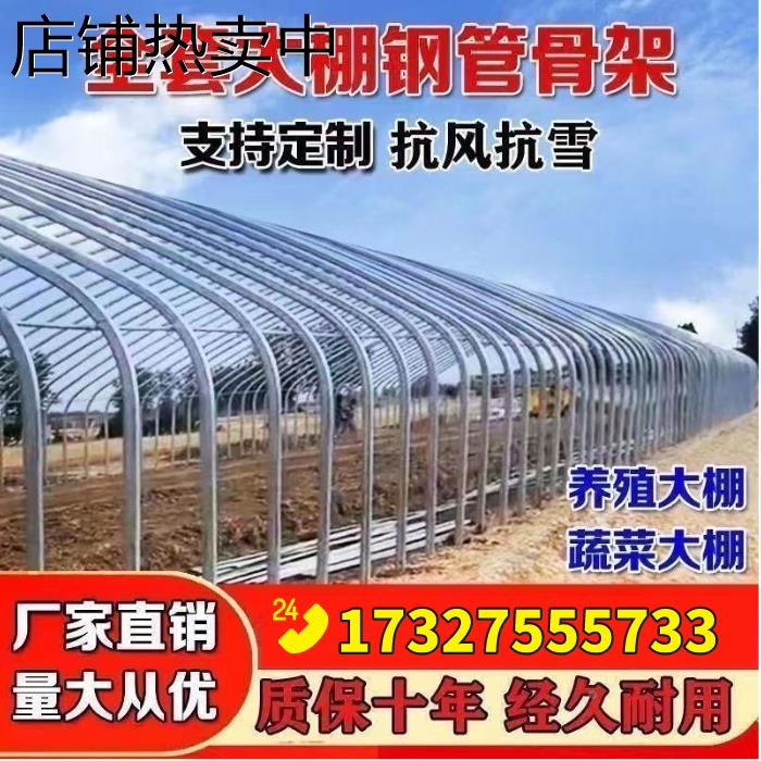 温室大棚支架骨架大棚全套拱棚支架养殖大棚蔬菜大棚连体连栋定制