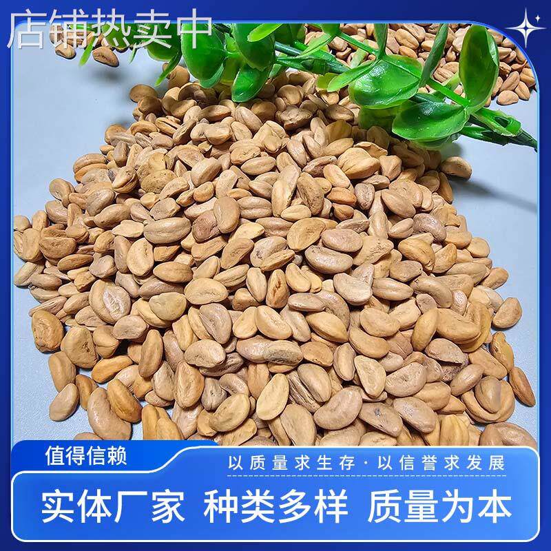 厂家供应水洗山楂籽颗粒沙池汽车座垫枕头坐垫填充游乐场用山楂籽