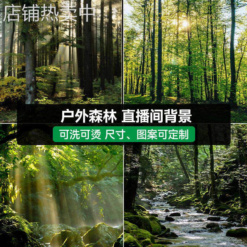 户外森林山林野外3D直播背景布直播间级感背景墙立体壁纸网红主