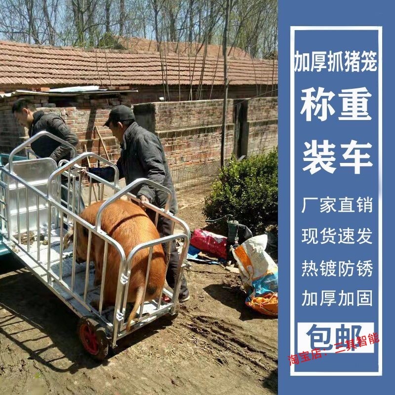 称猪专用笼装猪仔上车架拉肥猪转运车卖猪收崽抓猪小推车加厚包邮_虎窝淘