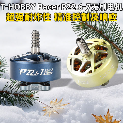 T-HOBBYPacerP22.6-7无刷电机