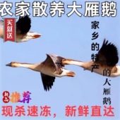 东北大鹅查干湖散养大雁鹅整只5 10斤礼盒装 现杀新鲜速冻鸭鹅送礼