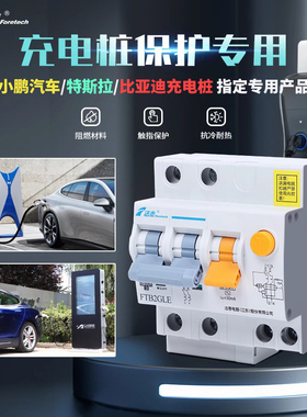 法泰FTB2LE-C系列断路器充电桩保护漏电保护空开家用总闸保护器