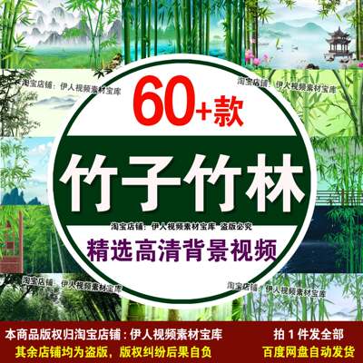 竹子竹林竹叶背景视频中国风水墨竹林背景视频清新竹林视频背景