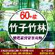 竹子竹林竹叶背景视频中国风水墨竹林背景视频清新竹林视频背景