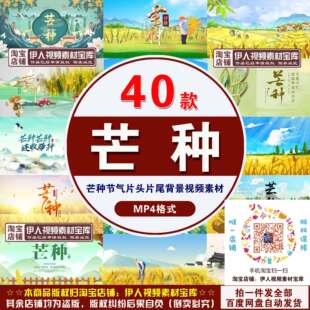 芒种视频素材二十四节气芒种节气片头片尾背景视频素材