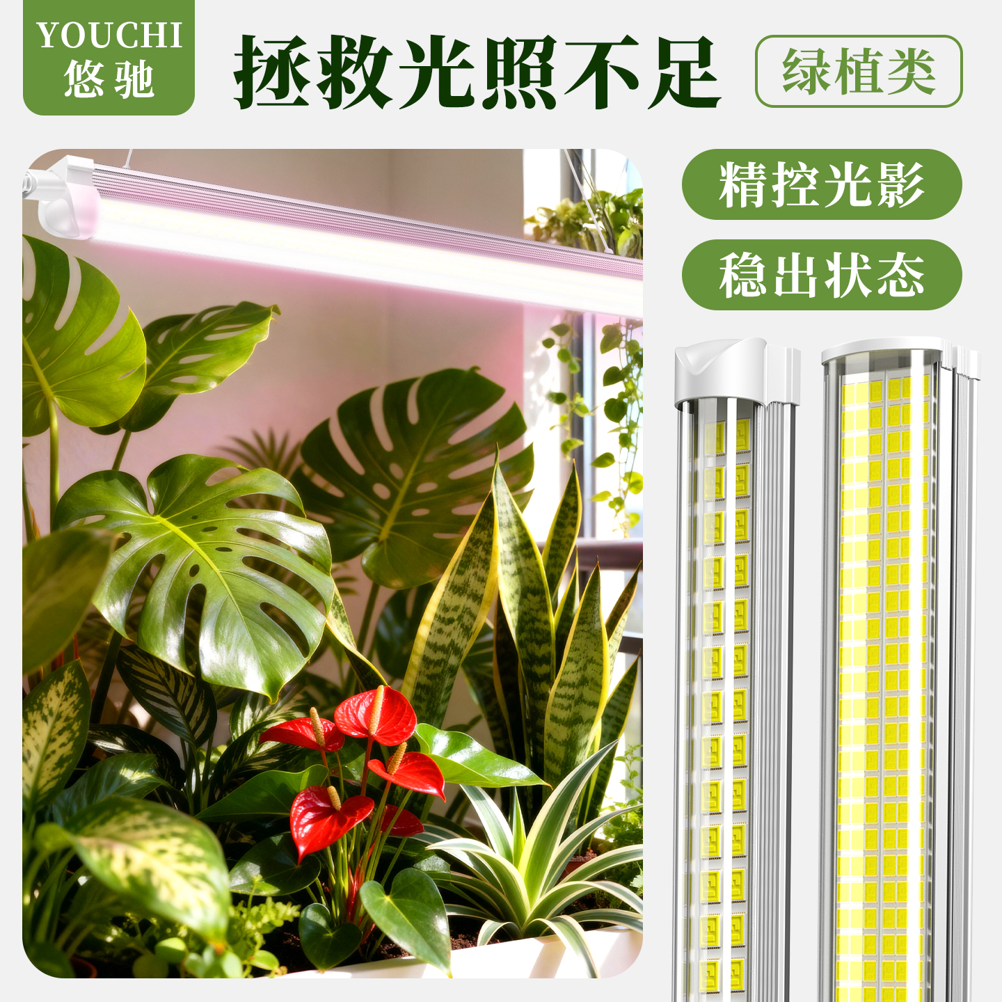 植物补光灯防徒长促生长上色快