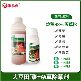 烧荒 48%灭草松苯达松大豆水稻花生玉米阔叶莎草香附子除草剂农药