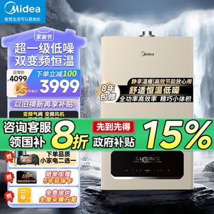 燃气壁挂炉天然气家用热水器采暖热水沐浴两用暖气片供暖R03 美