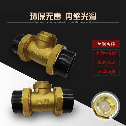 精选pe水管止回阀止回流自来水管道工程用活接热熔铜止回阀dn20