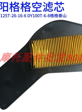 包邮大阳摩托车DY125T-26-16-6 DY100T-6-8格格滤清器空气滤芯