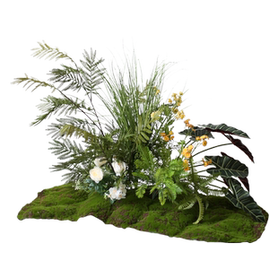 小型仿真绿植造景青苔蕨叶植物园景餐厅橱窗楼梯角落景观假花草