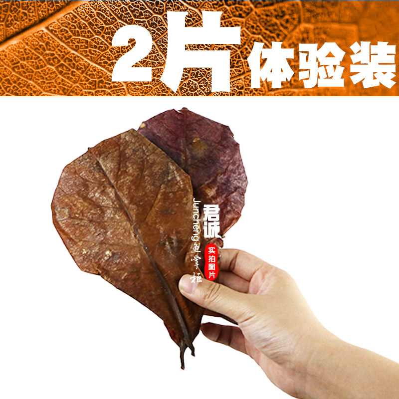 榄仁叶鱼缸懒人降ph值降低水族降酸调节剂乌龟酸斗鱼叶调节橄榄叶