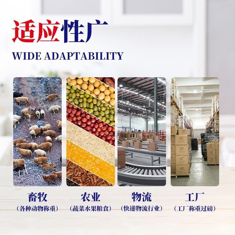 电子地磅1吨3t5t地秤小地磅称畜牧称重物流仓储工业工地工厂磅秤