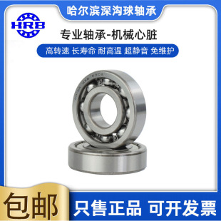 6003 6004 6001 6007RZ 6002 6006 哈尔滨HRB轴承6000 6005