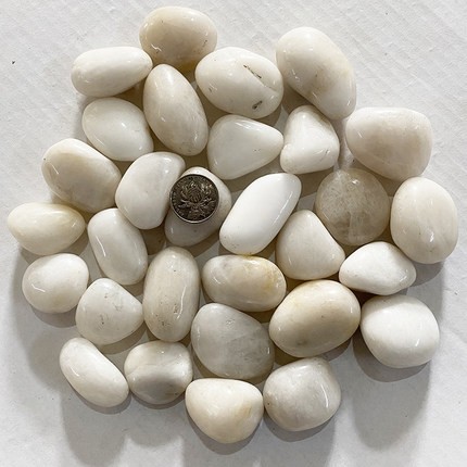 50斤白色鹅卵石石头铺路造景天然大号鱼缸鱼池水渠铺装园艺四川