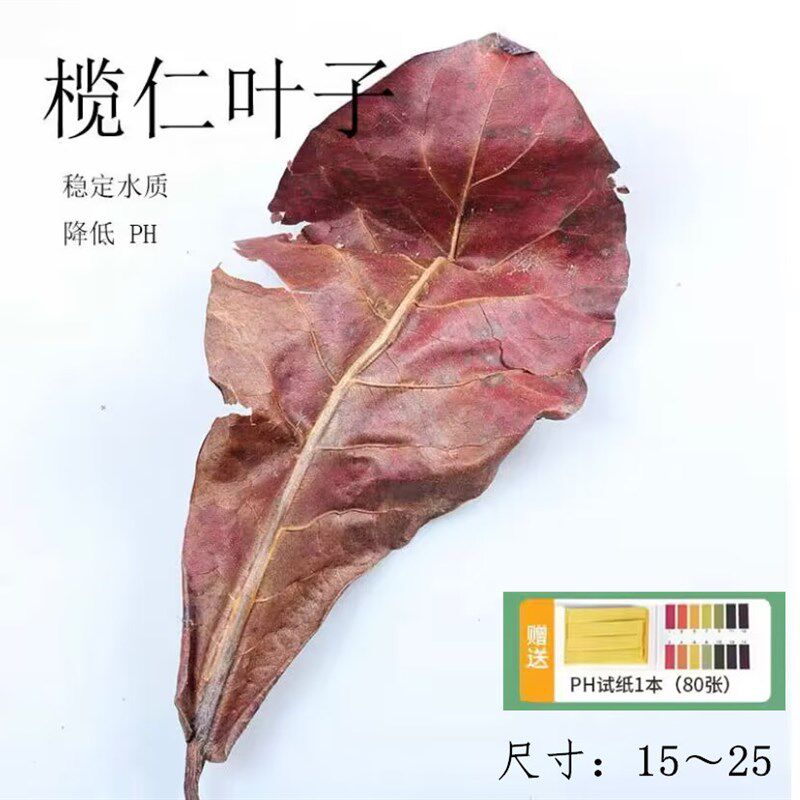 免煮榄仁叶斗鱼懒人叶鱼缸降酸PH值调节剂水族液态乌龟橄榄叶茶包