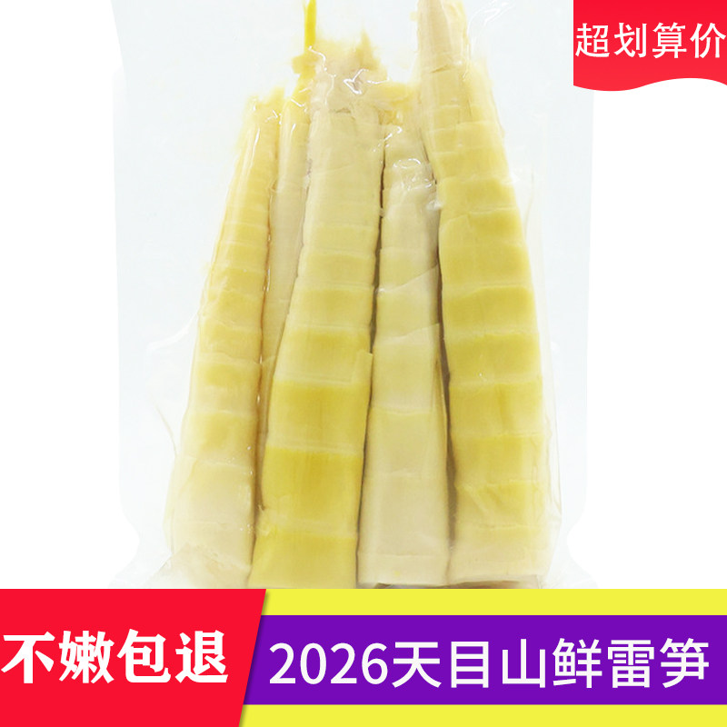 天目山雷笋竹笋新鲜安吉清水笋商用鲜笋尖火锅食材大竹笋脆笋鲜笋