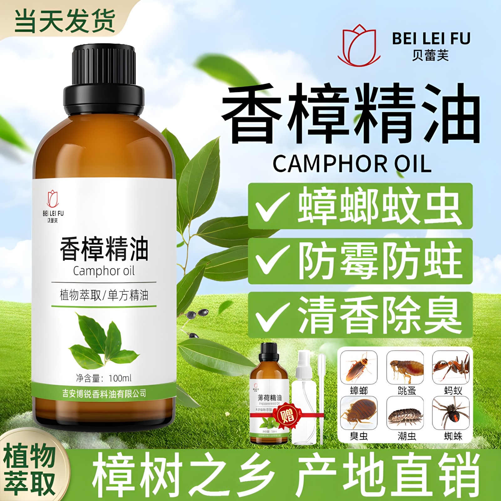 香樟精油樟脑香樟木驱蚊驱虫驱蟑螂驱蚂蚁木制家具防虫蛀清新空气