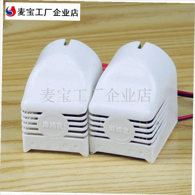 旧款老式T8电子镇流器日光z灯带线支架灯座电子支架灯头整流器\