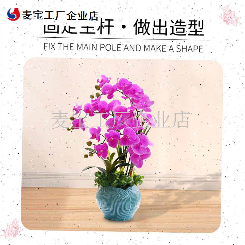 蝶兰支架支撑杆造型架子园艺花卉花枝夹子蔓藤爬藤X植物固定包邮\