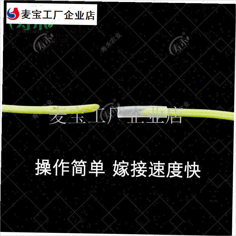 接套管黄瓜通用嫁接夹西瓜苗专D用小夹子瓜苗管蔬菜育苗刀工具\