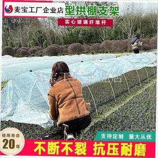 农用拱棚支架玻璃纤维杆搭棚大棚拱杆玻璃钢种菜家X用蔬菜豆角架\