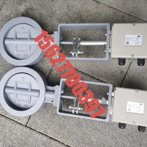 议价施能执行器ST50-60T20EST50－60T20EST5060T20EST50/60T20E