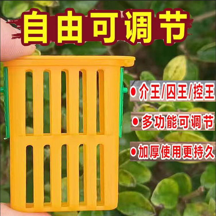 蜂具多功能囚王笼新款王笼介王神器邮寄蜂王神器防逃大口径囚王笼