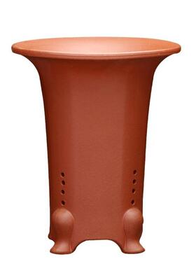 紫砂兰花盆客厅桌面竹子君子兰建春蕙兰园艺花卉绿植绿植盆景