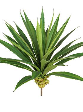 广东厂家仿真大剑兰剑麻盆栽假绿植龙舌兰人造热带植物黄冠兰