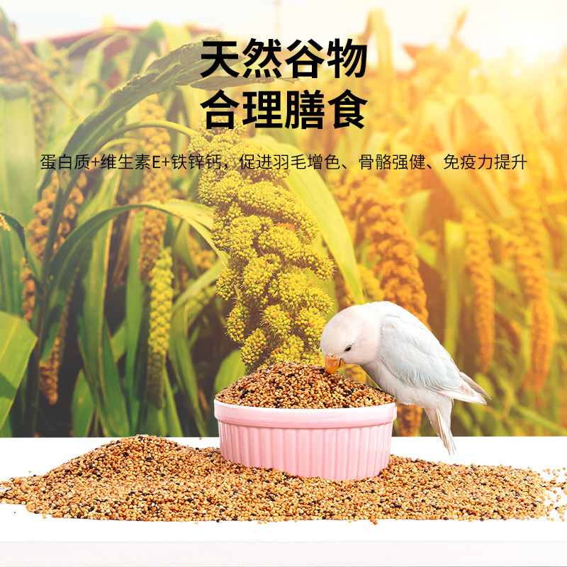 鹦鹉鸟粮天然新鲜带壳五色黍子