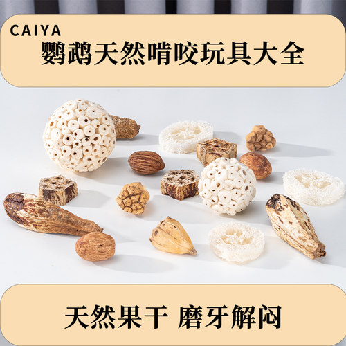 CAIYA宠物鹦鹉解闷自嗨干果